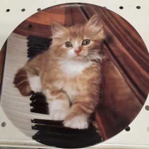 import placeholder for 7984